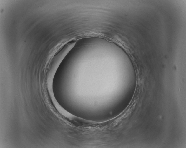 X0000078840193200611201322