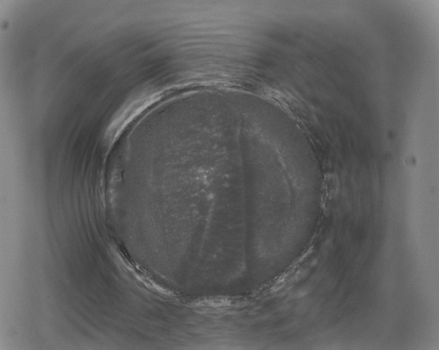 X0000078840194200611201322