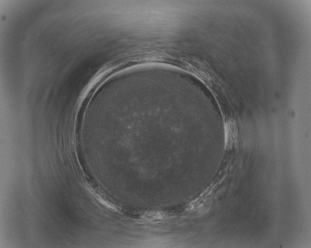 X0000078840195200611201322