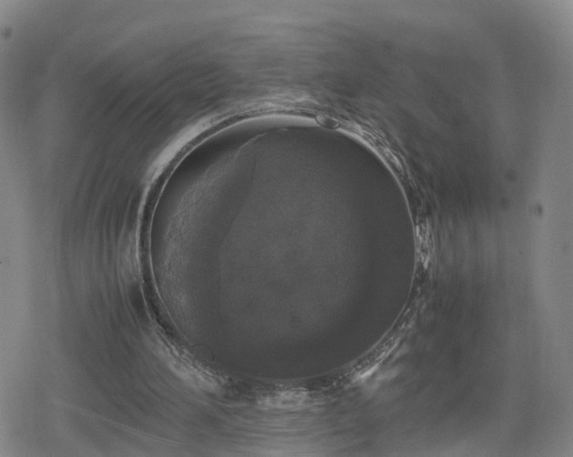 X0000078840196200611201322