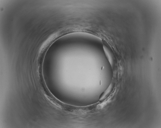 X0000078840197200611201322