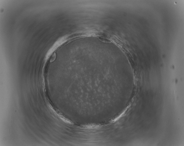 X0000078840198200611201322