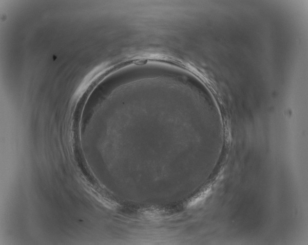 X0000078840199200611201322