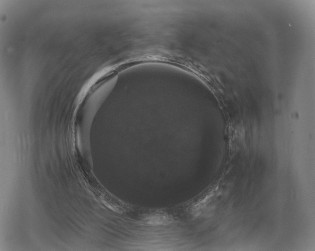 X0000078840200200611201322