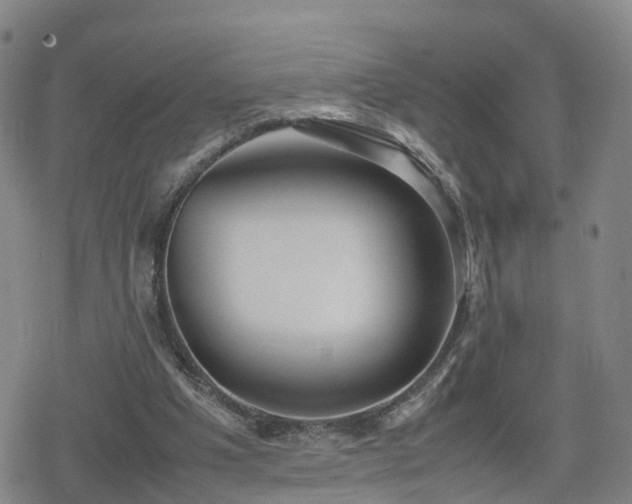 X0000078840201200611201322