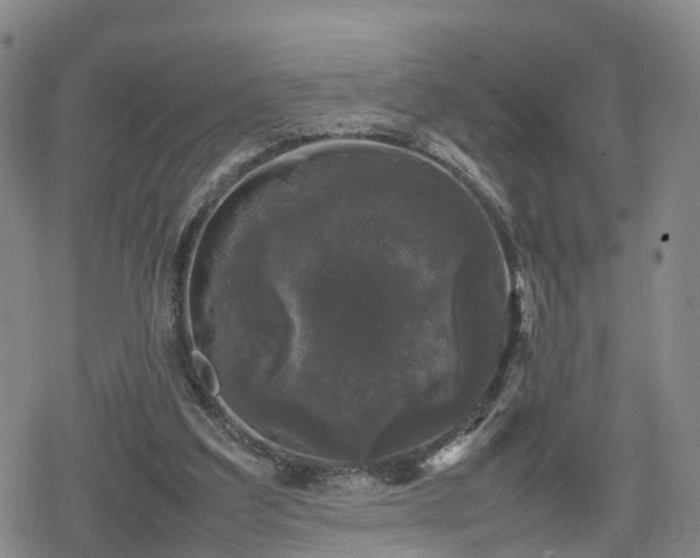 X0000078840203200611201322