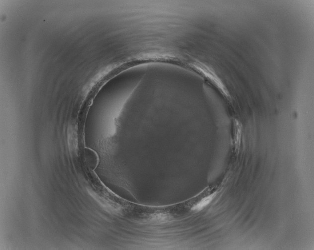 X0000078840204200611201322