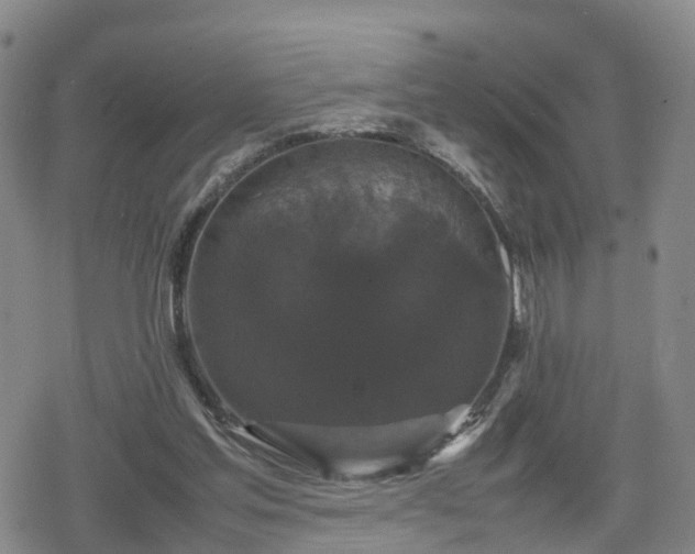 X0000078840205200611201322