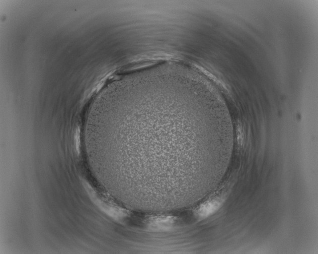 X0000078840206200611201322