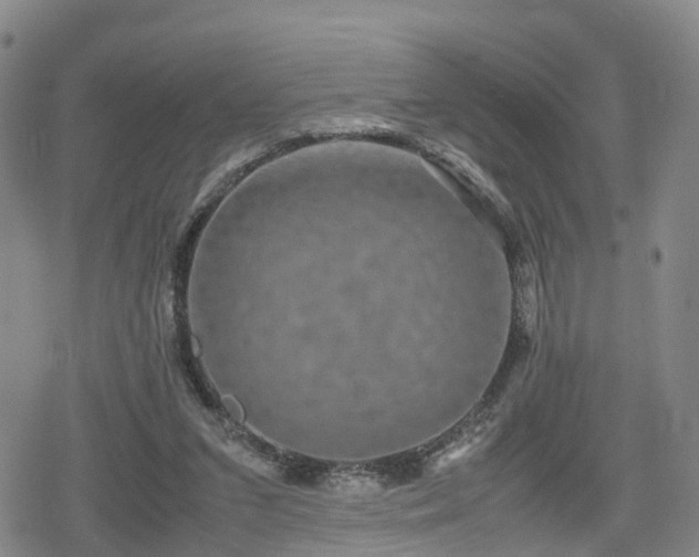 X0000078840207200611201322