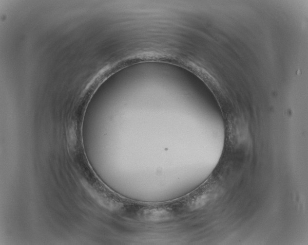 X0000078840208200611201322