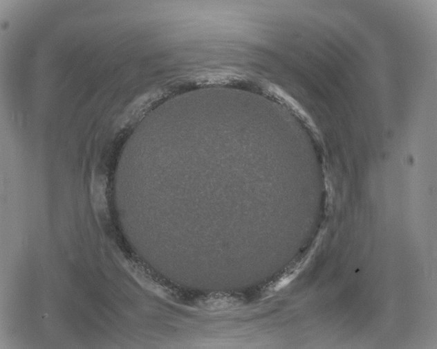 X0000078840209200611201321