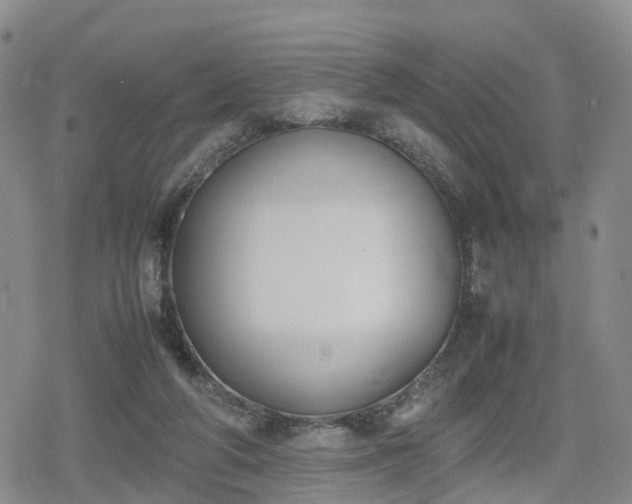 X0000078840210200611201321