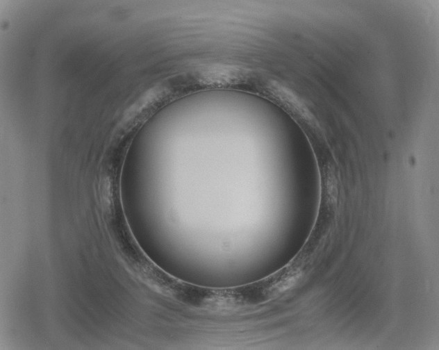 X0000078840211200611201321