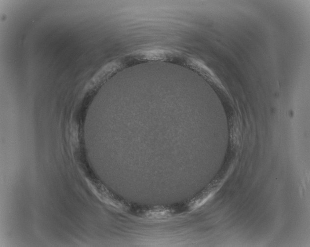 X0000078840213200611201321