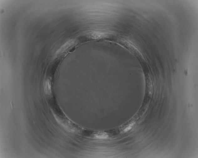 X0000078840214200611201321