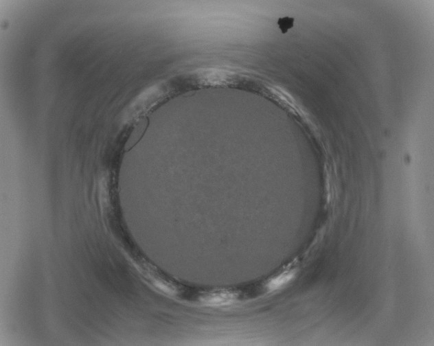 X0000078840217200611201321