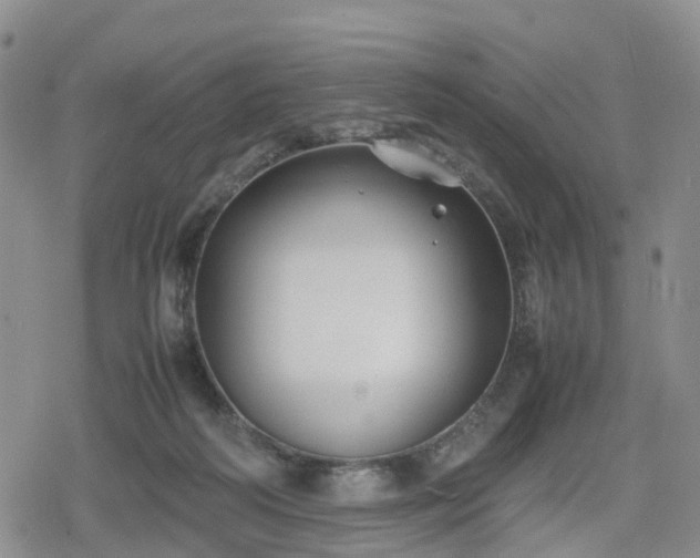 X0000078840218200611201321