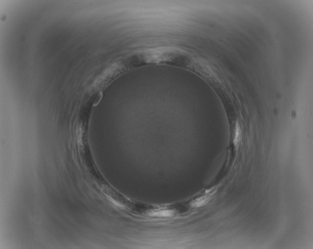 X0000078840219200611201321