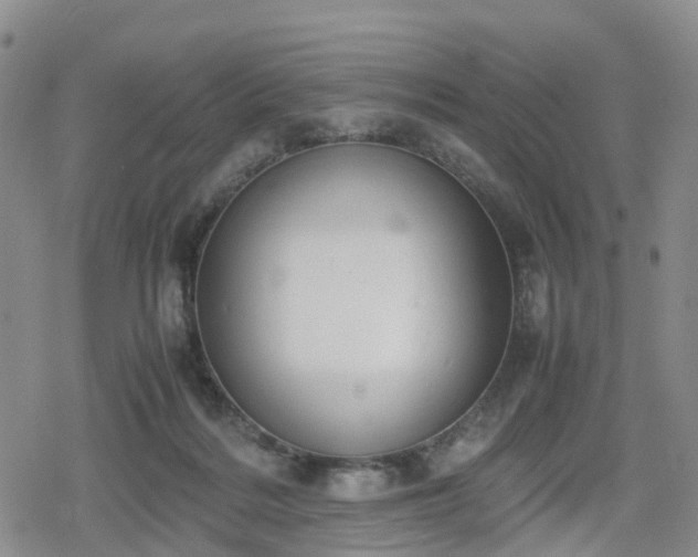 X0000078840220200611201321