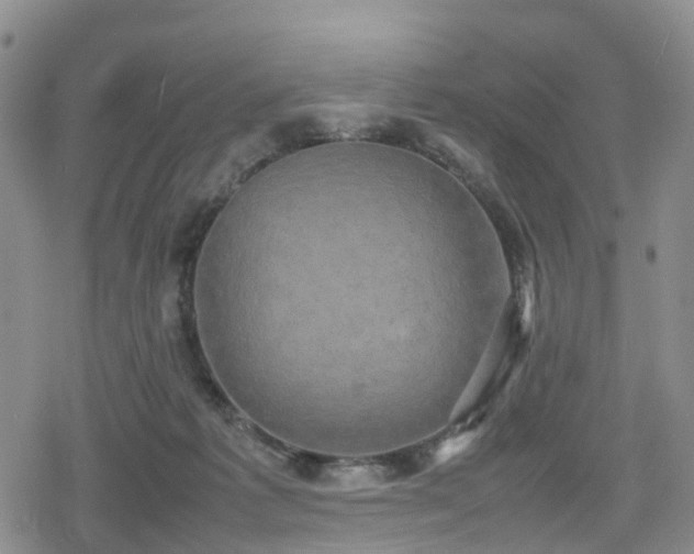 X0000078840221200611201321