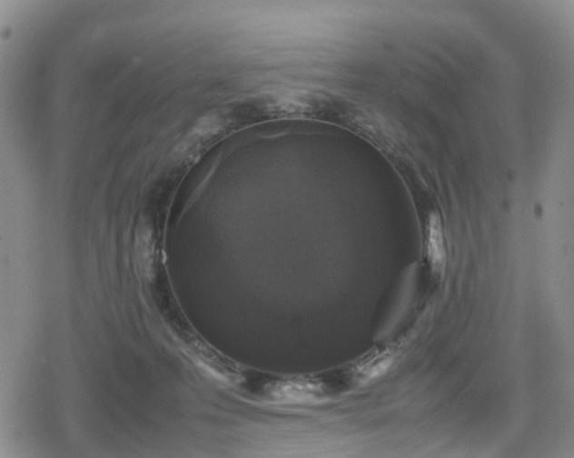 X0000078840223200611201321