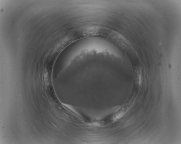 X0000078840224200611201321