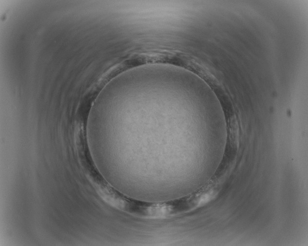 X0000078840225200611201321