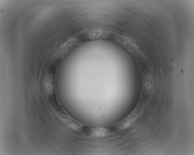 X0000078840226200611201321