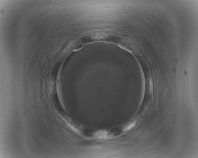 X0000078840227200611201321