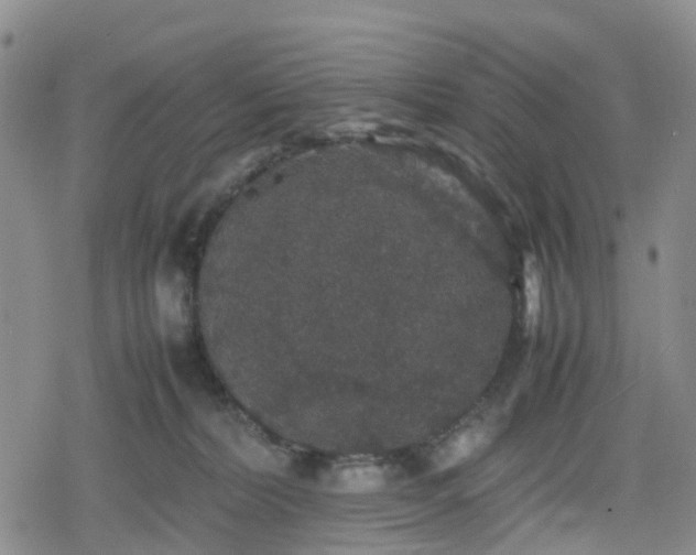 X0000078840228200611201321