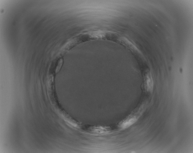 X0000078840229200611201321