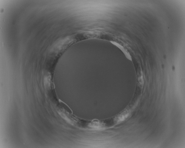 X0000078840231200611201321