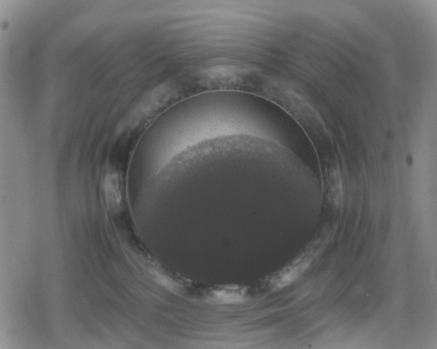 X0000078840232200611201321