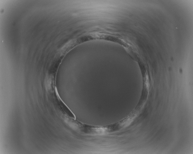 X0000078840233200611201321