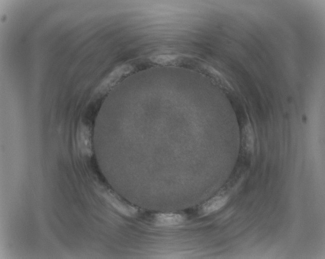 X0000078840234200611201321