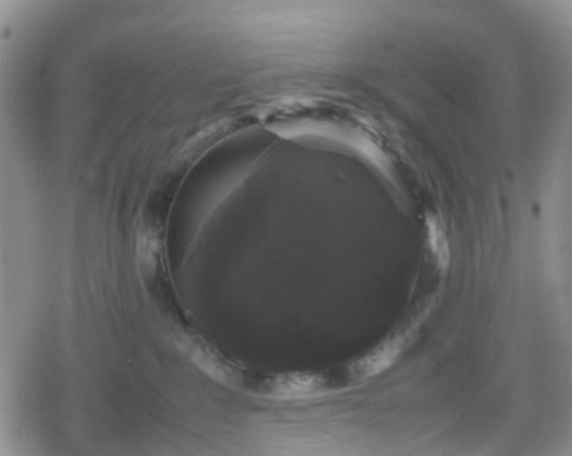 X0000078840235200611201321