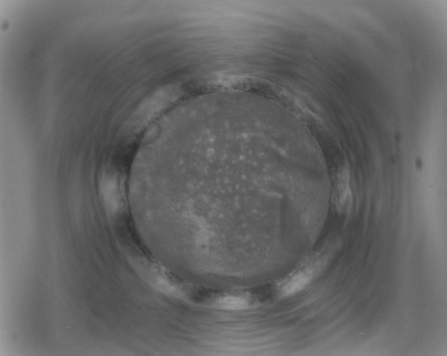 X0000078840236200611201321