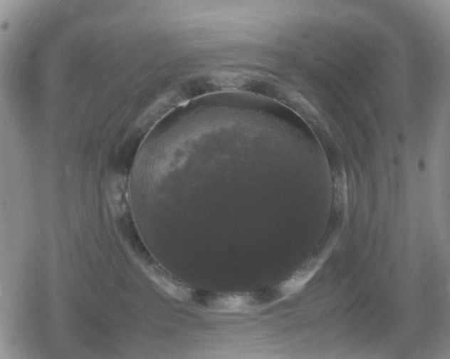 X0000078840237200611201321