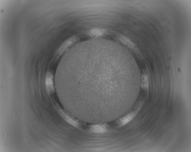 X0000078840238200611201321