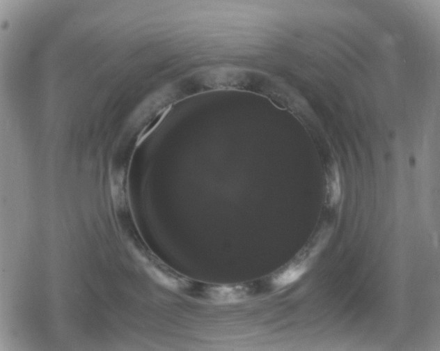 X0000078840239200611201321