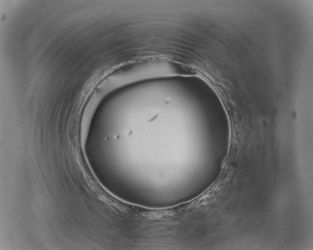 X0000078840241200611201320