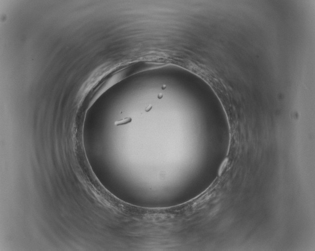 X0000078840242200611201320