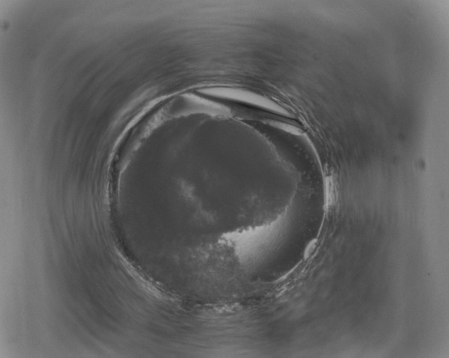 X0000078840243200611201320