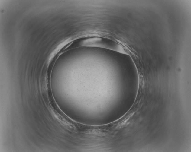 X0000078840244200611201320