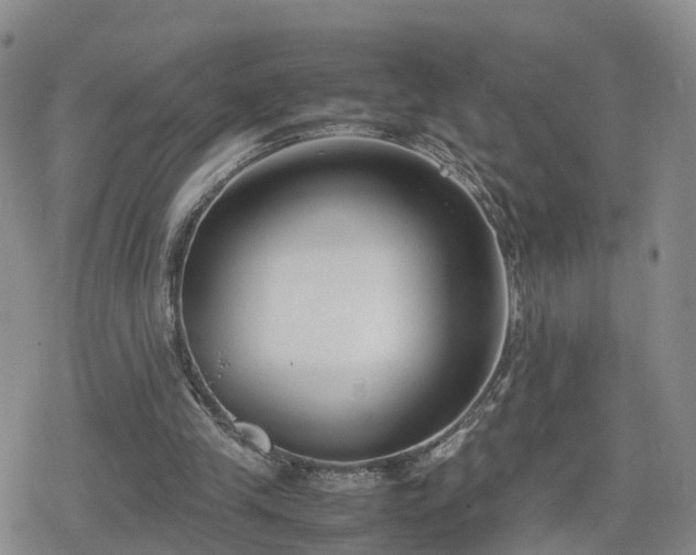 X0000078840245200611201320