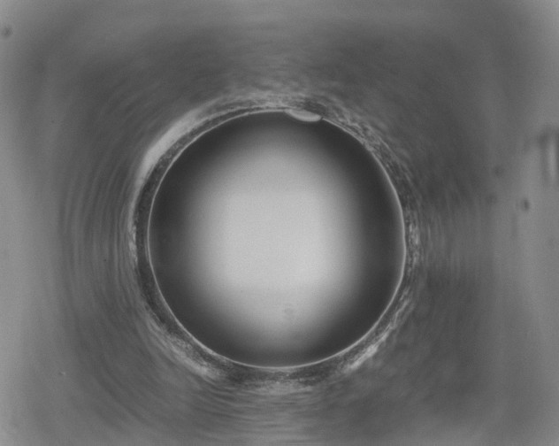 X0000078840246200611201320