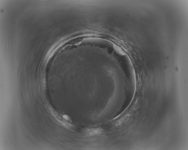 X0000078840247200611201320