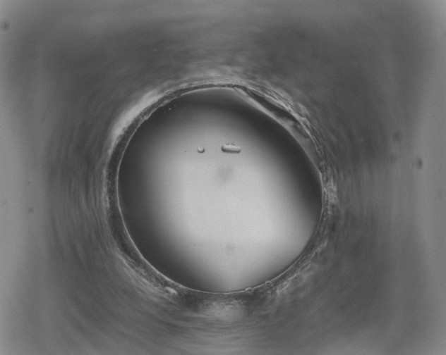 X0000078840248200611201320