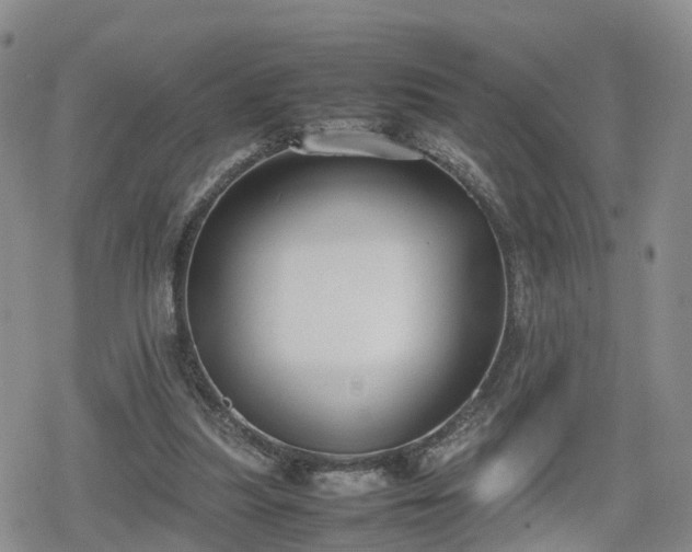 X0000078840251200611201320